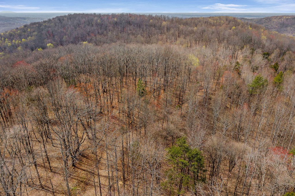 00 White Oak Flatt Rd