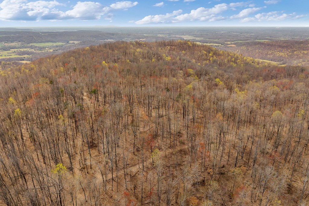 00 White Oak Flatt Rd