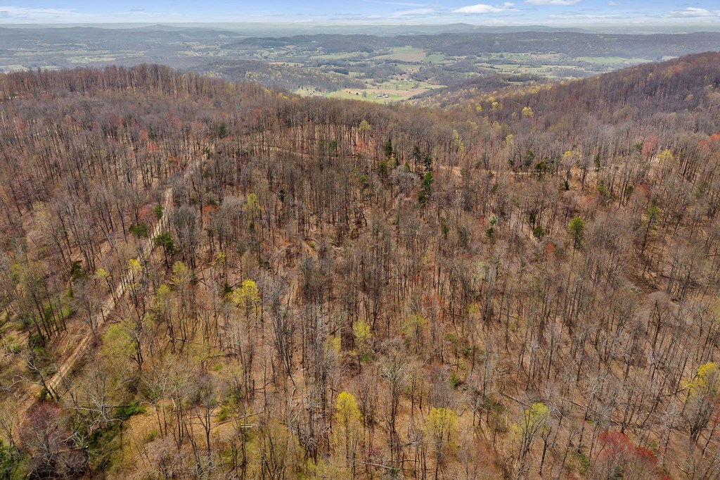 00 White Oak Flatt Rd