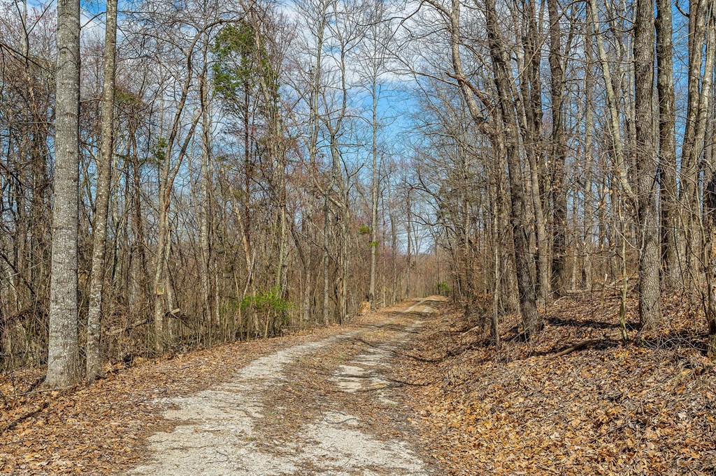 00 White Oak Flatt Rd