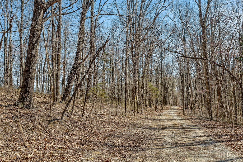 00 White Oak Flatt Rd