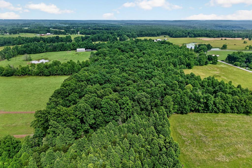 2025 Old Bon Air Rd
