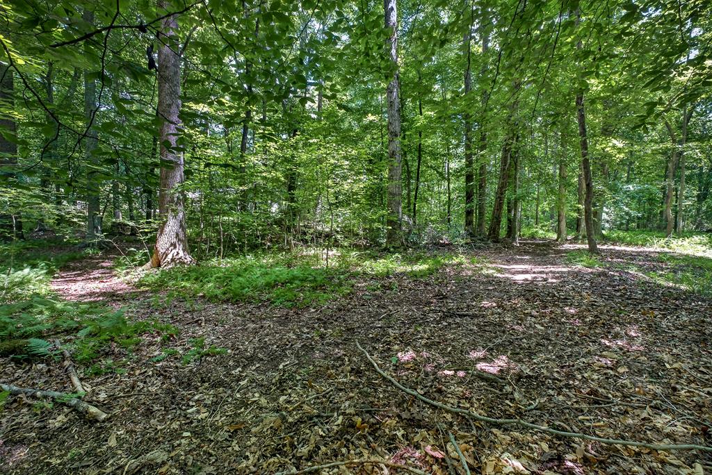 2025 Old Bon Air Rd