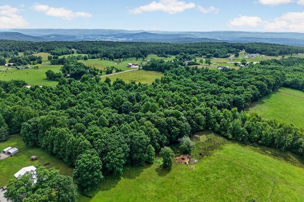 2025 Old Bon Air Rd