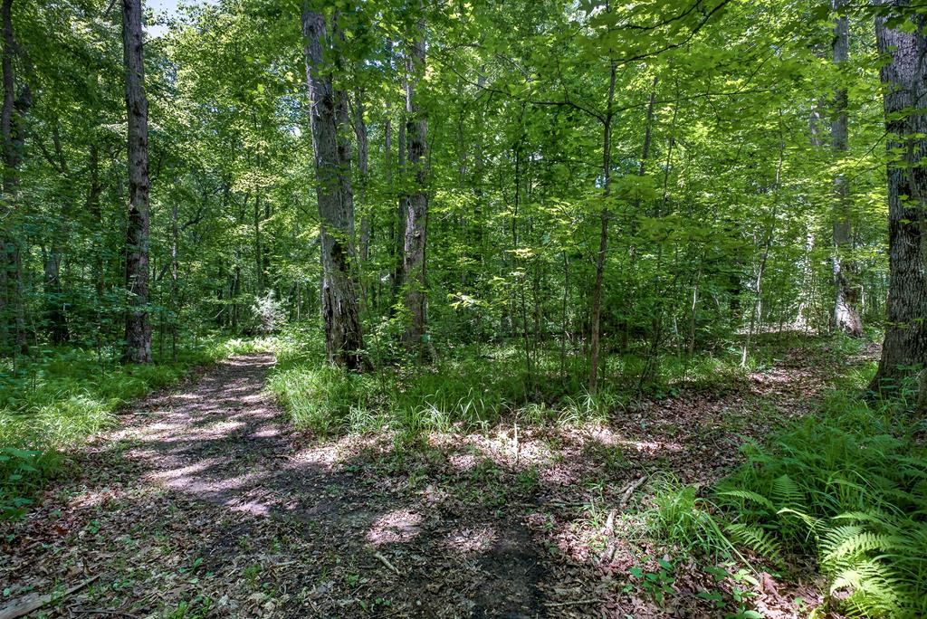 2025 Old Bon Air Rd