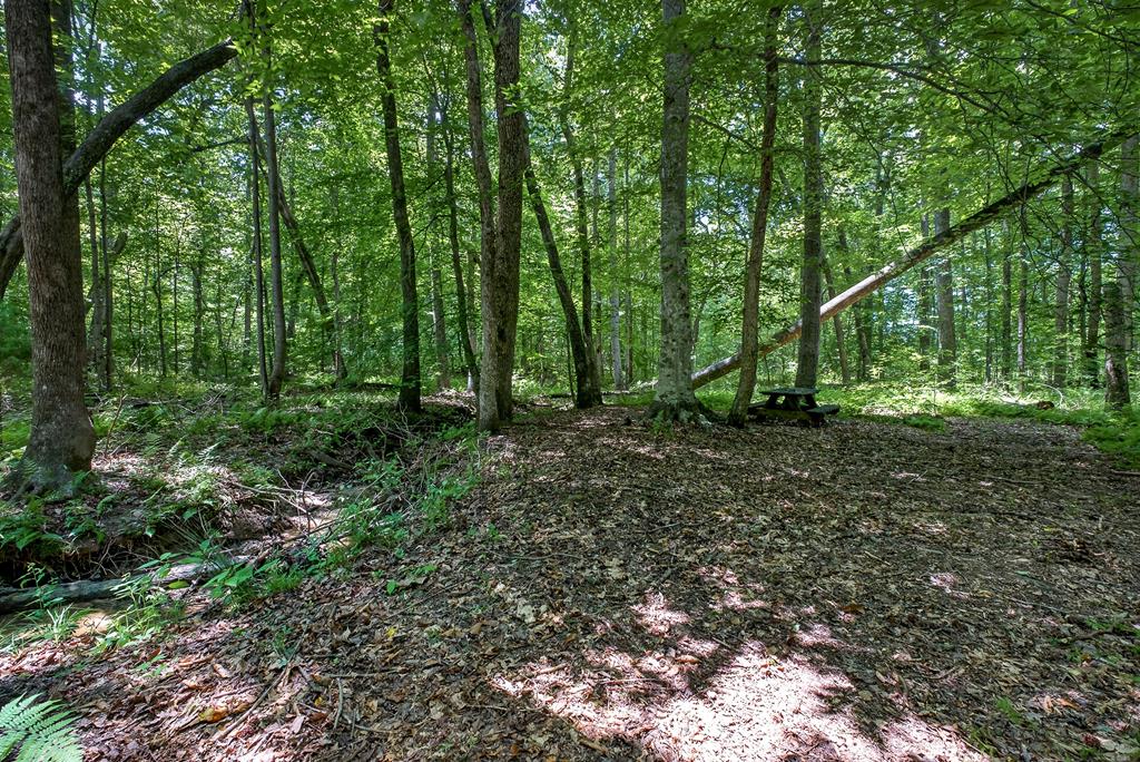 2025 Old Bon Air Rd
