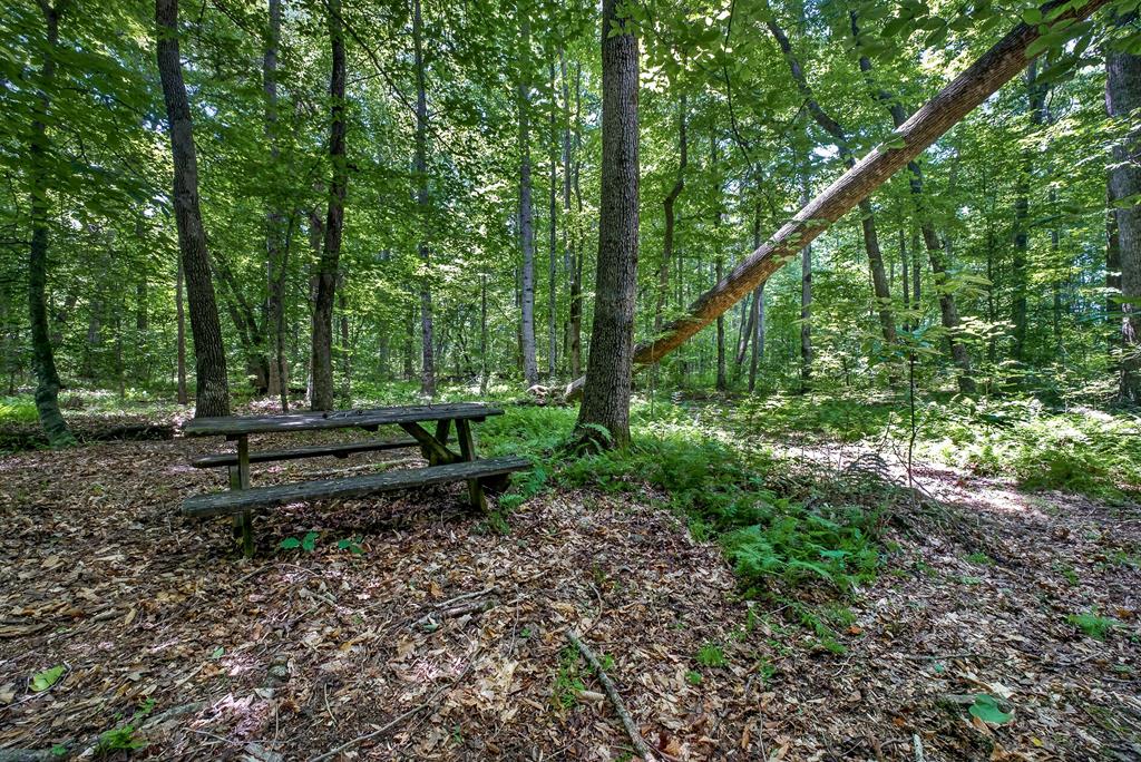 2025 Old Bon Air Rd