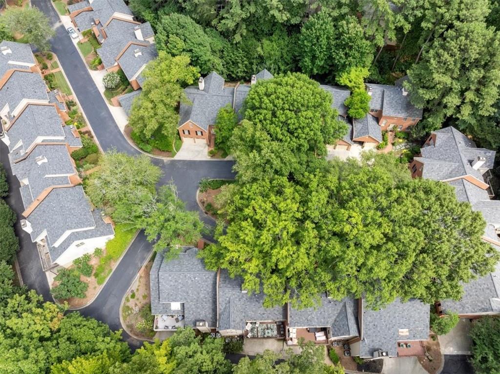 40 Ivy Chase NE