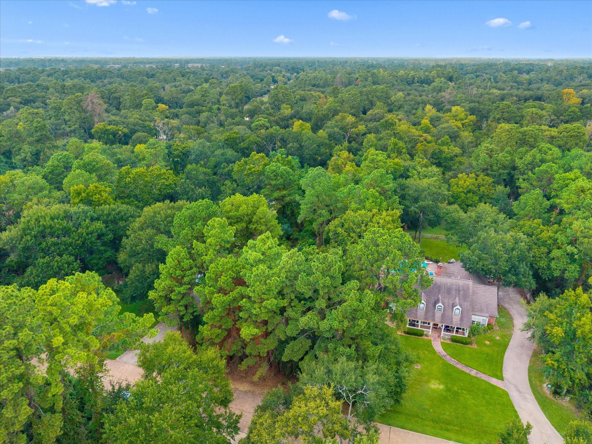 12623 Adams Run Drive