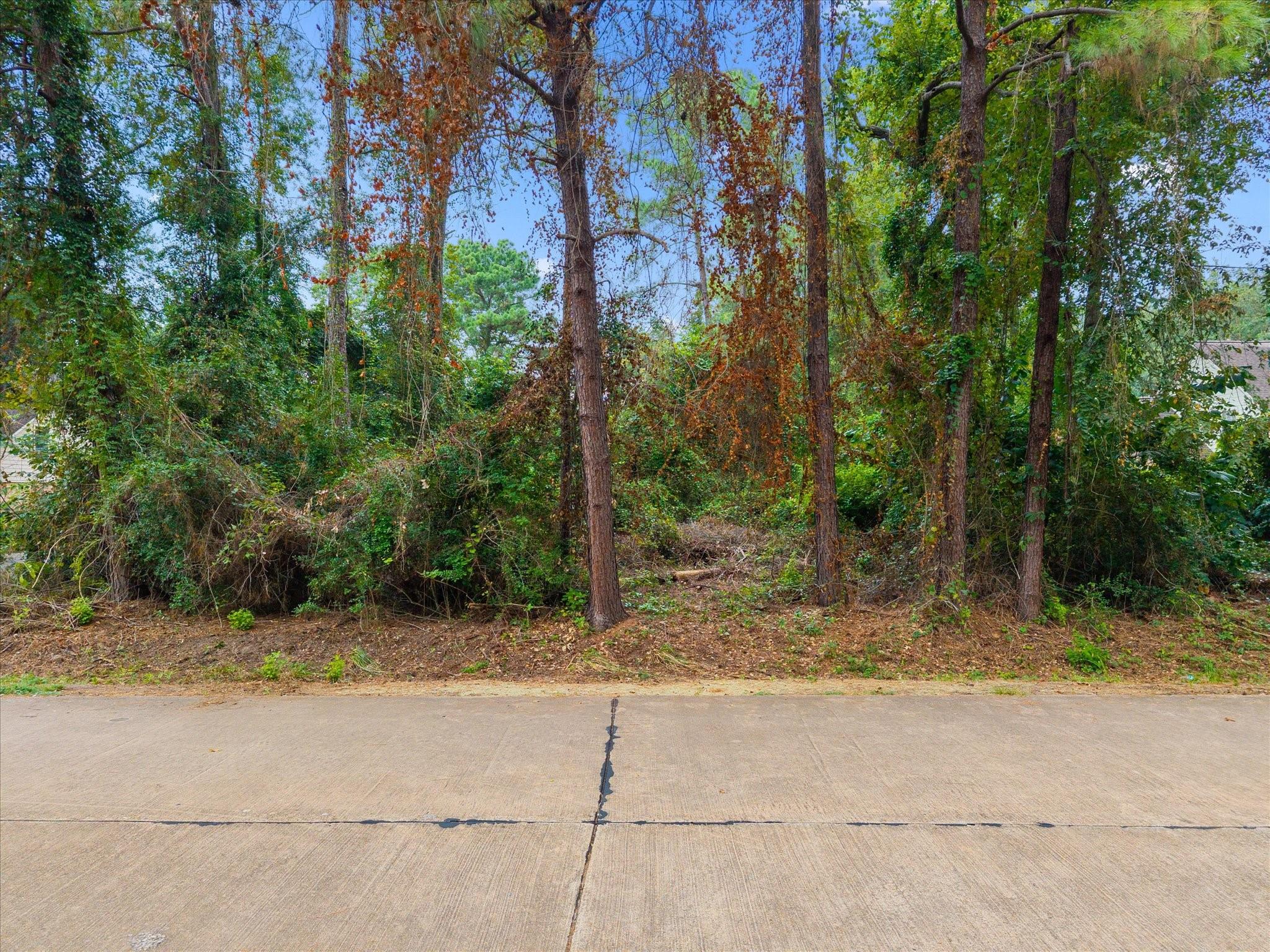 12623 Adams Run Drive