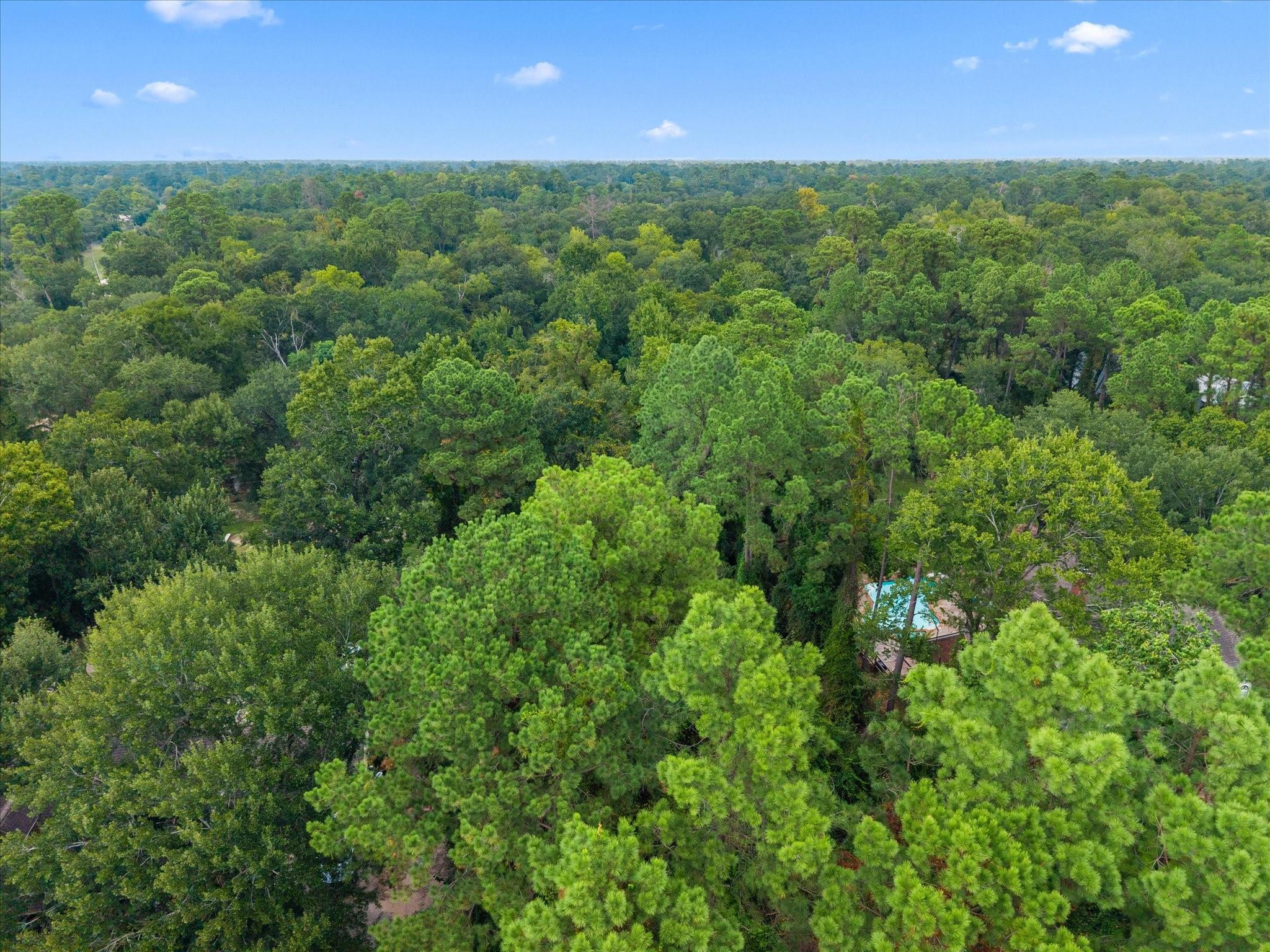 12623 Adams Run Drive