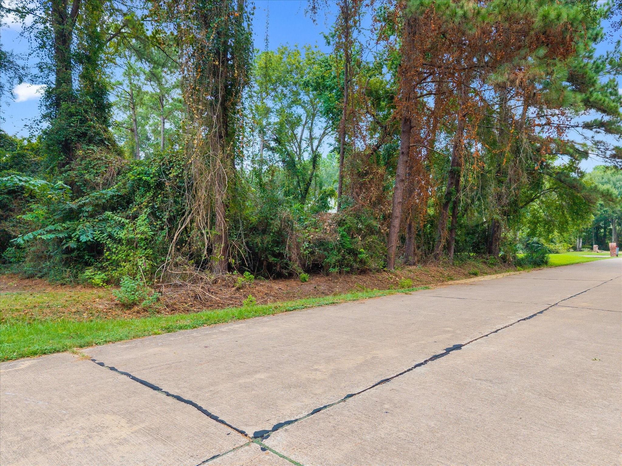 12623 Adams Run Drive