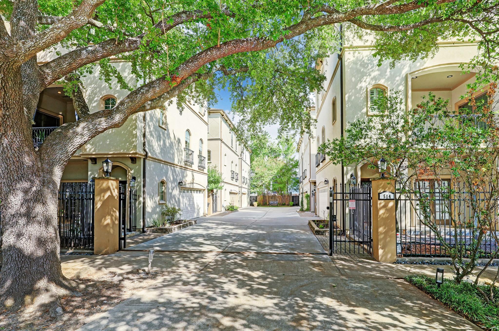 514 Cortlandt Street # D