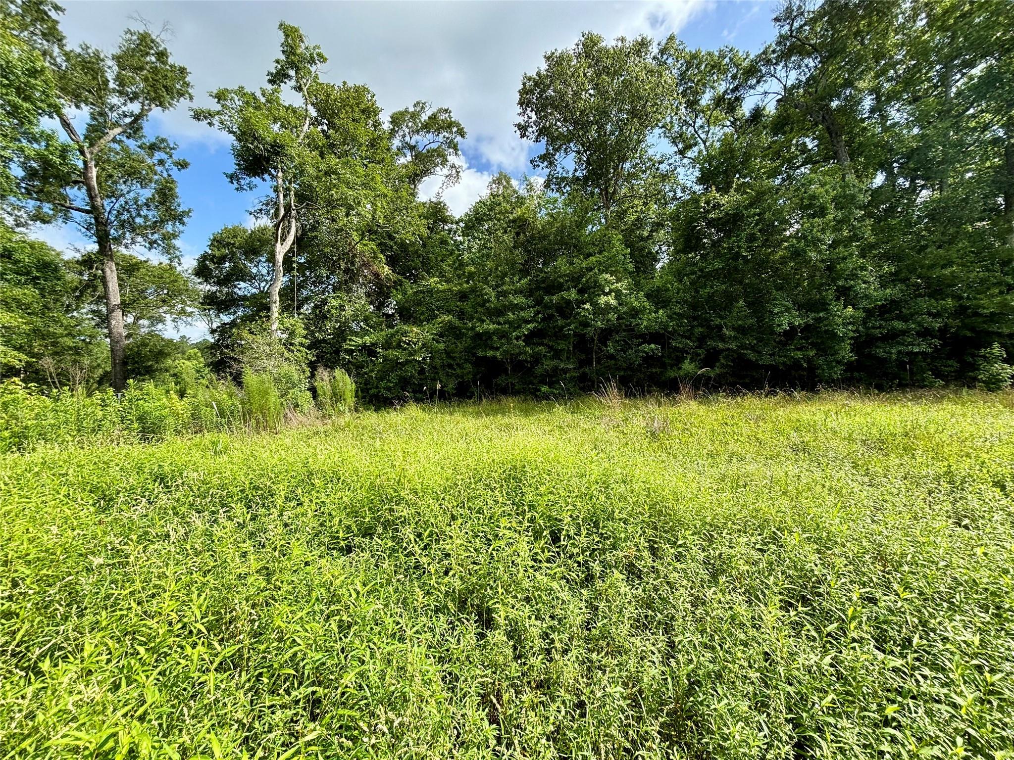 425 County Road 370 Road