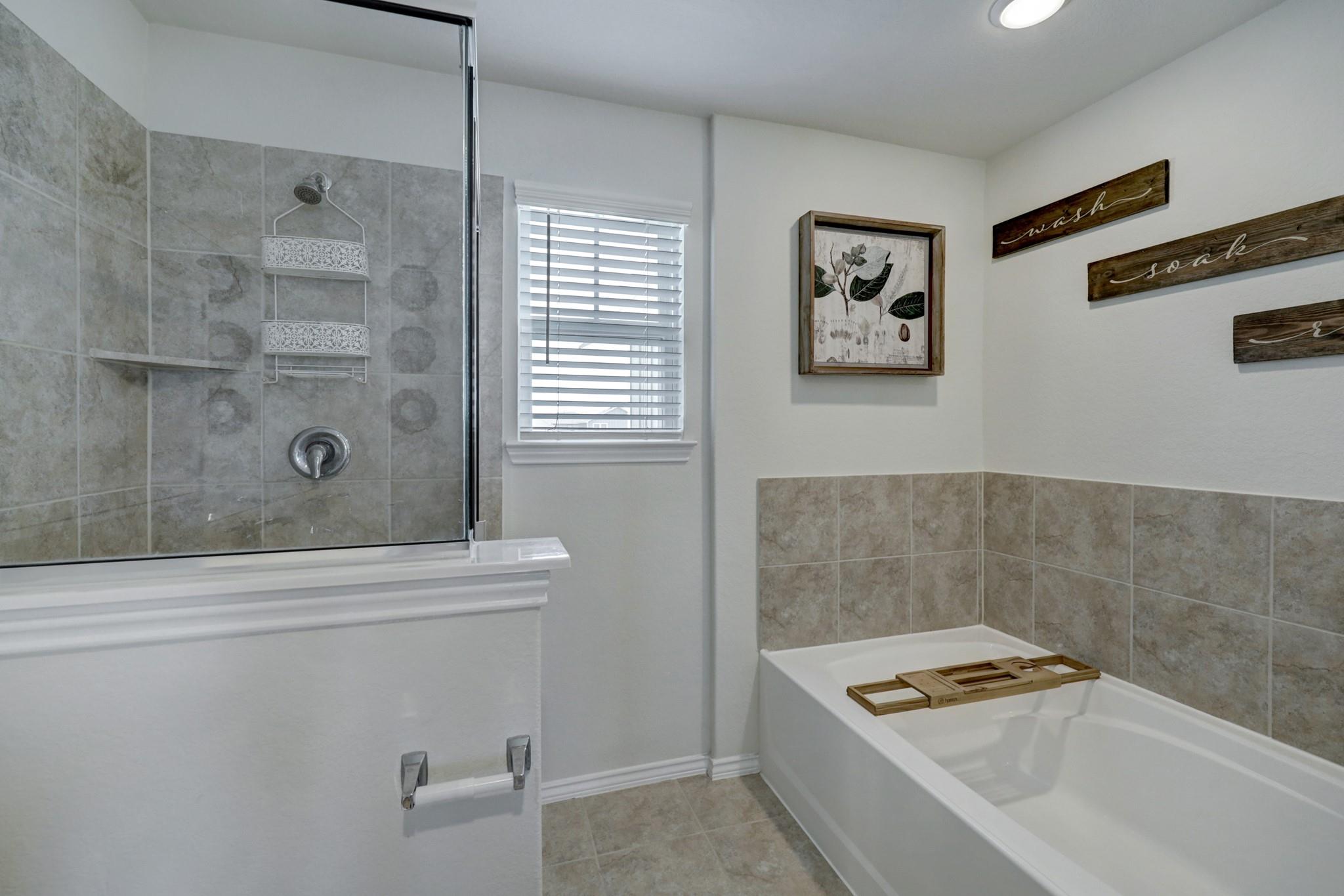 25735 Royal Catchfly Road