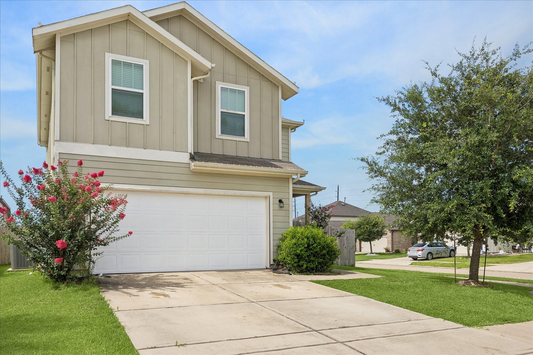25735 Royal Catchfly Road