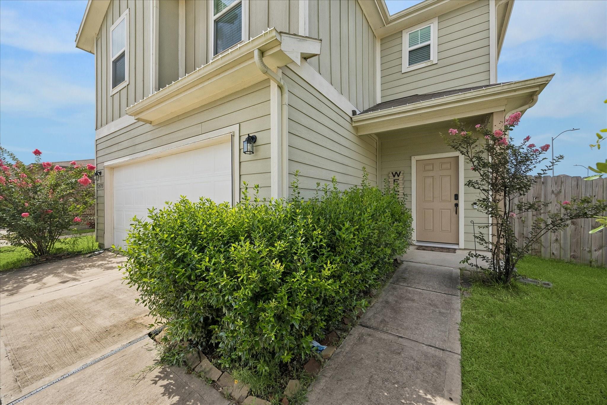 25735 Royal Catchfly Road