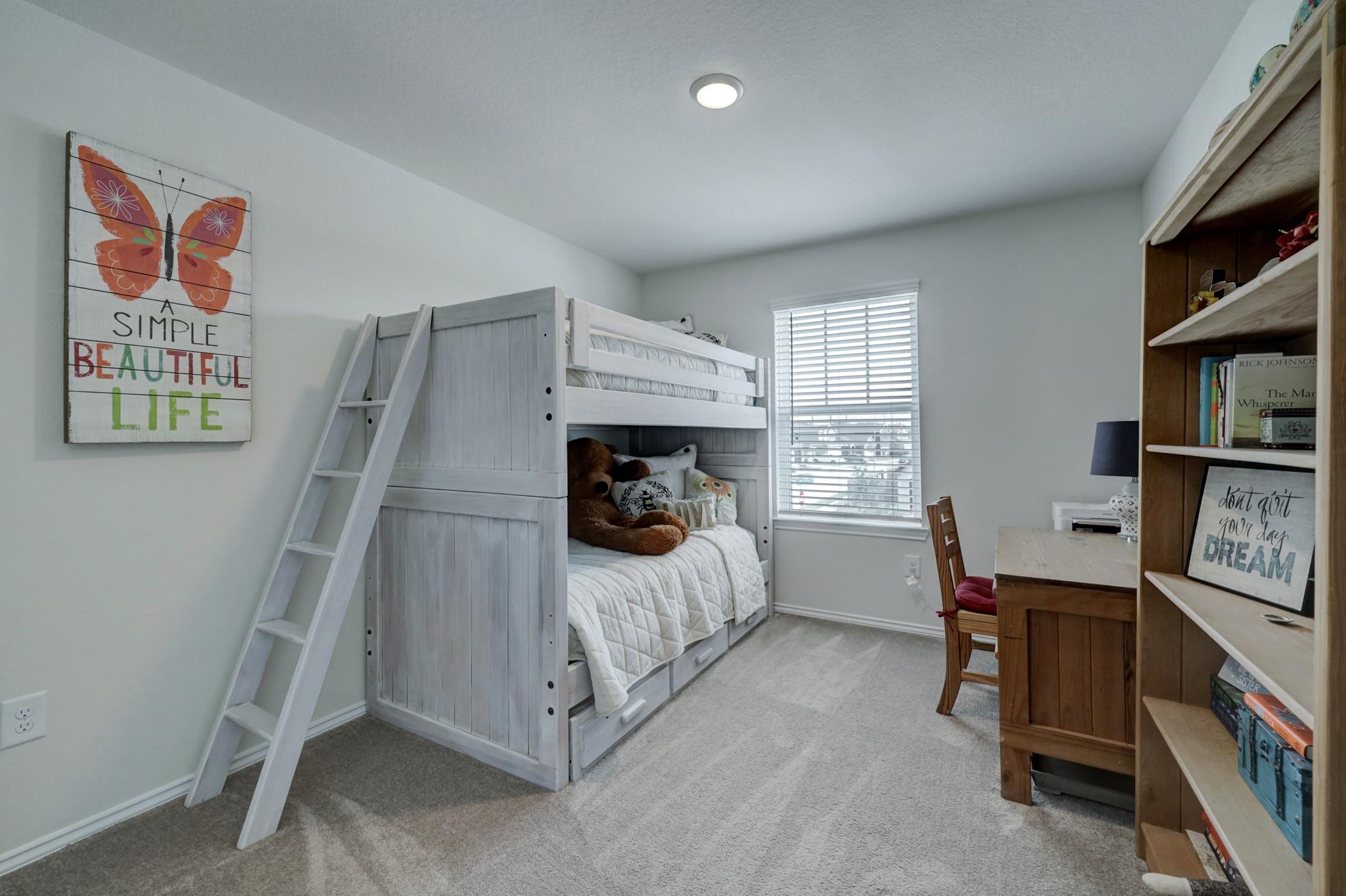 25735 Royal Catchfly Road