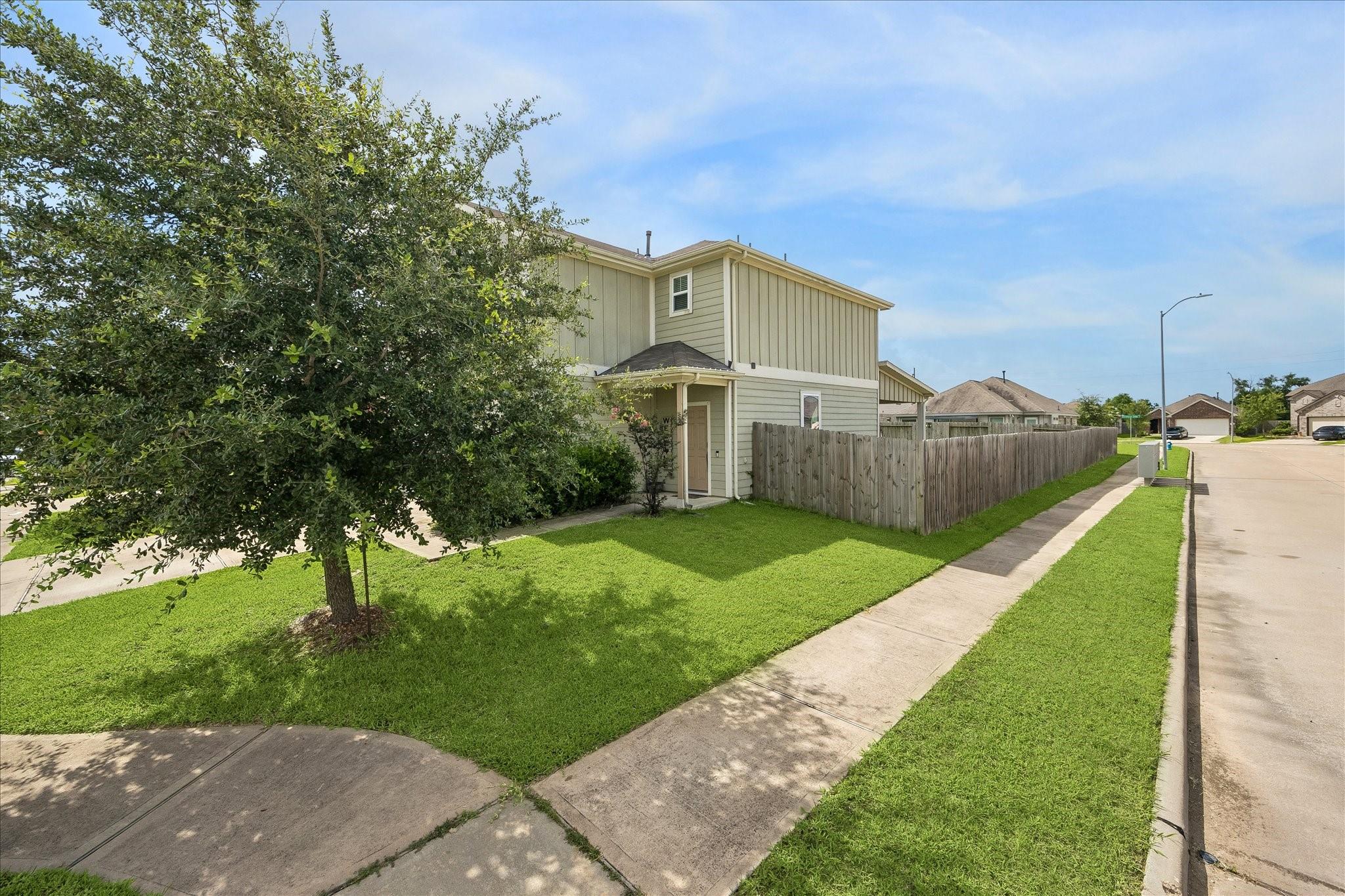 25735 Royal Catchfly Road