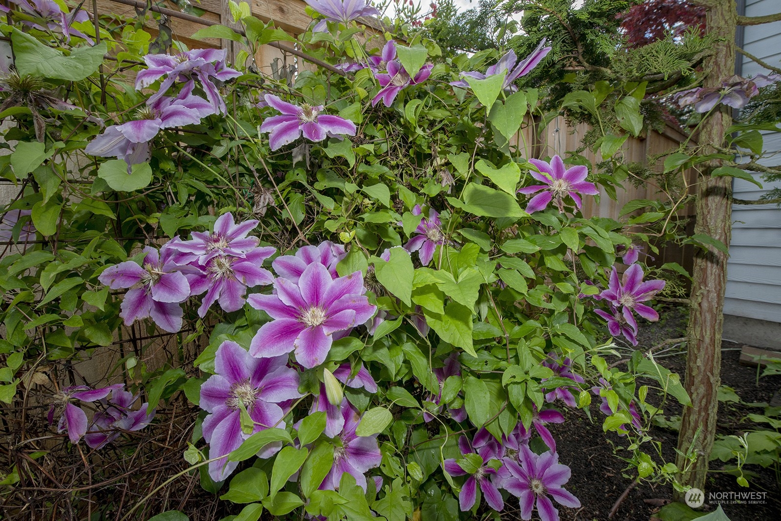 5022 SW Waite Street