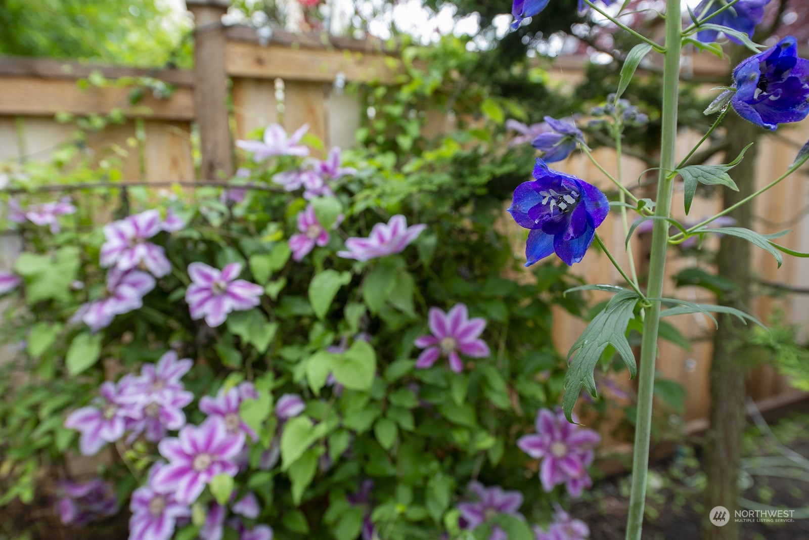 5022 SW Waite Street