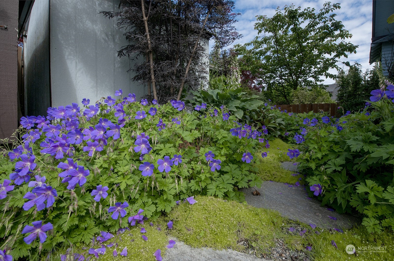 5022 SW Waite Street