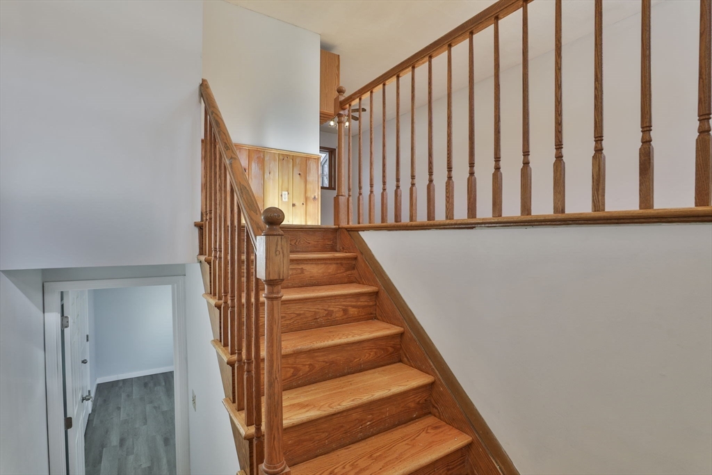 22 Drew St