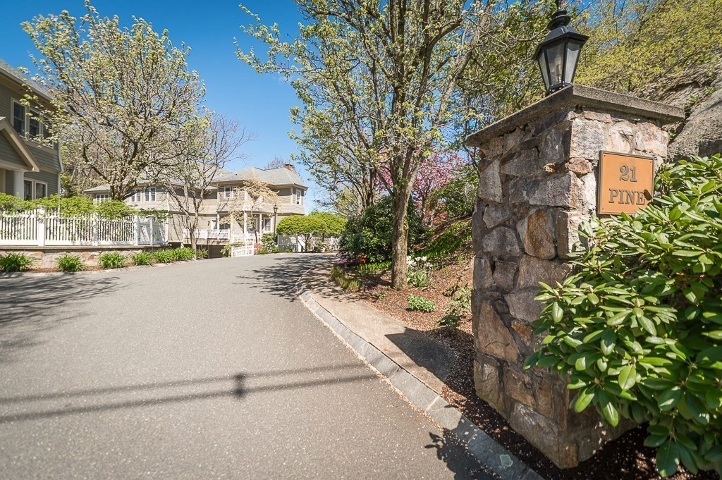 21 Pine Street # 5
