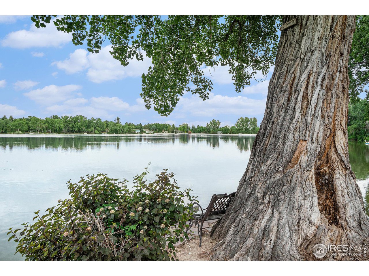 1712 Lake Sherwood Dr