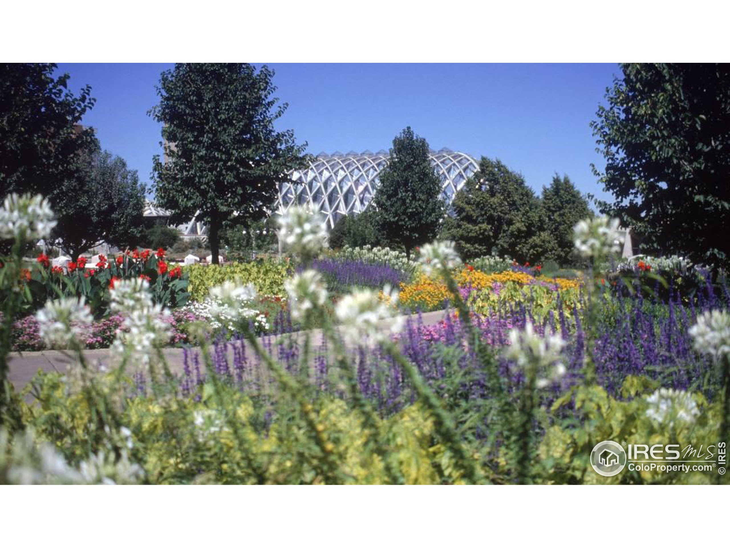 1267 N Lafayette St 403