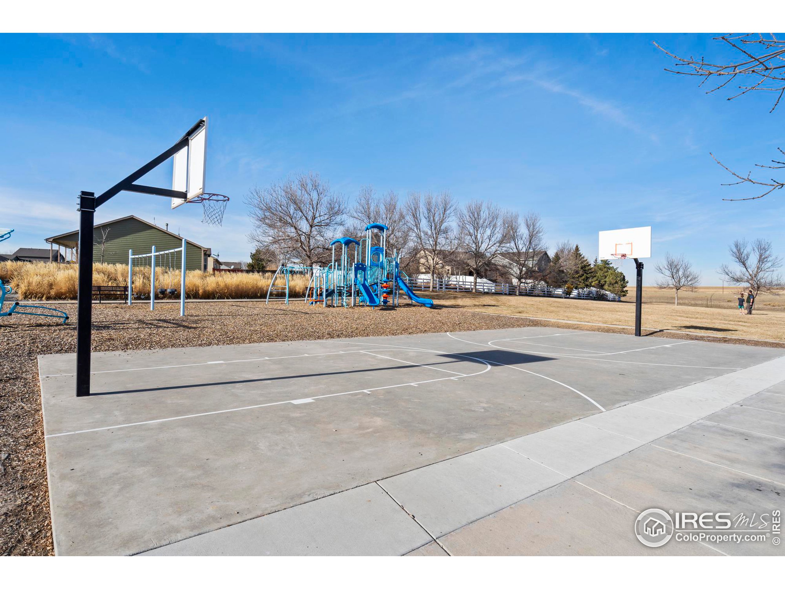 3677 Settler Ridge Dr