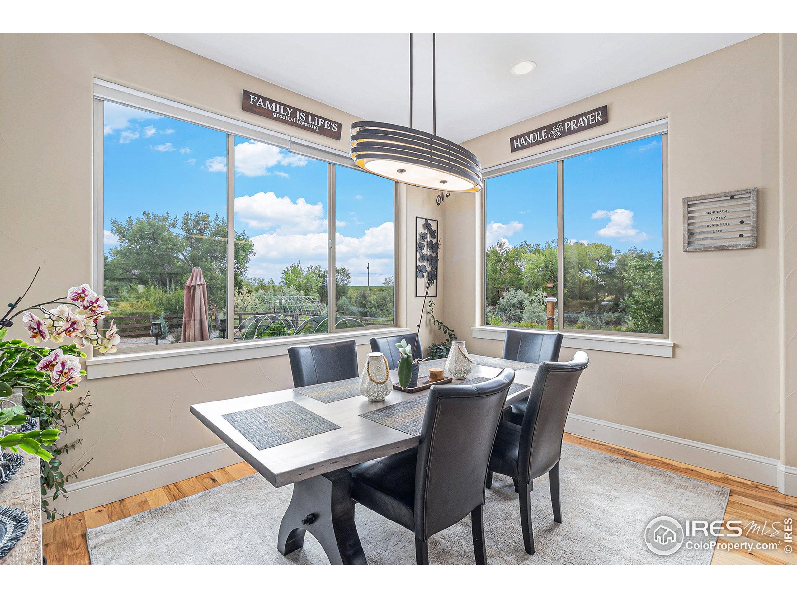 4243 Carroway Seed Ct