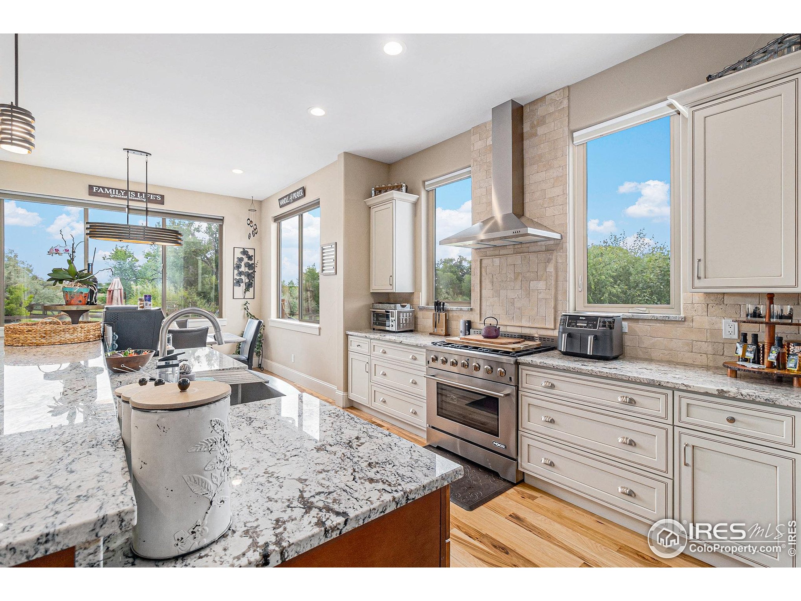 4243 Carroway Seed Ct