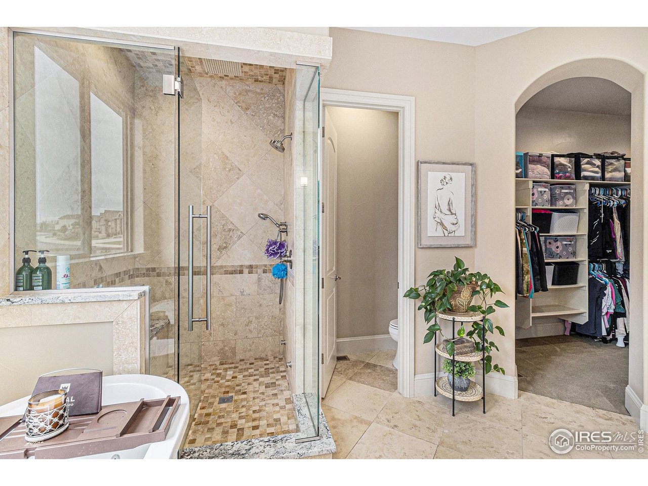 4243 Carroway Seed Ct