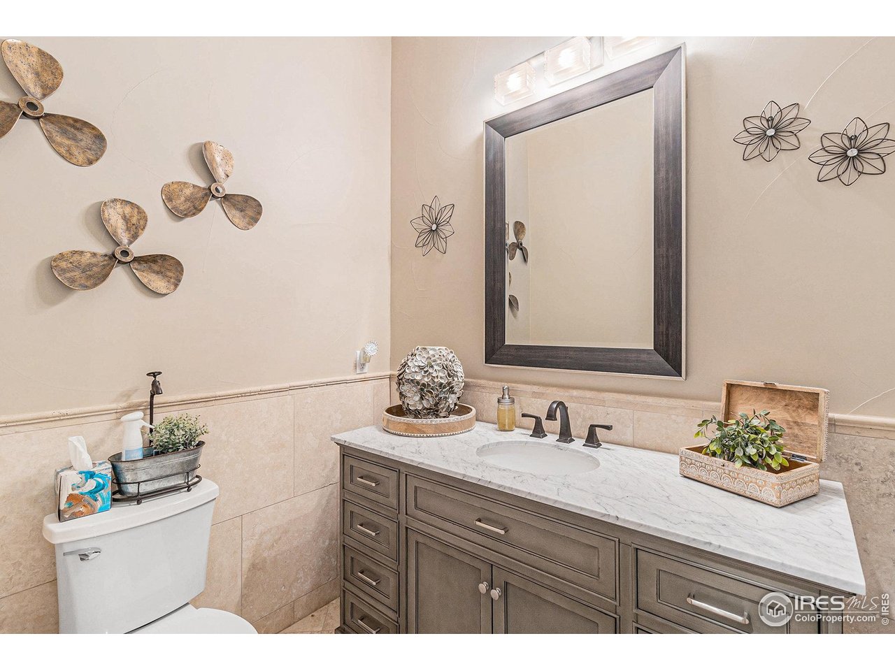 4243 Carroway Seed Ct