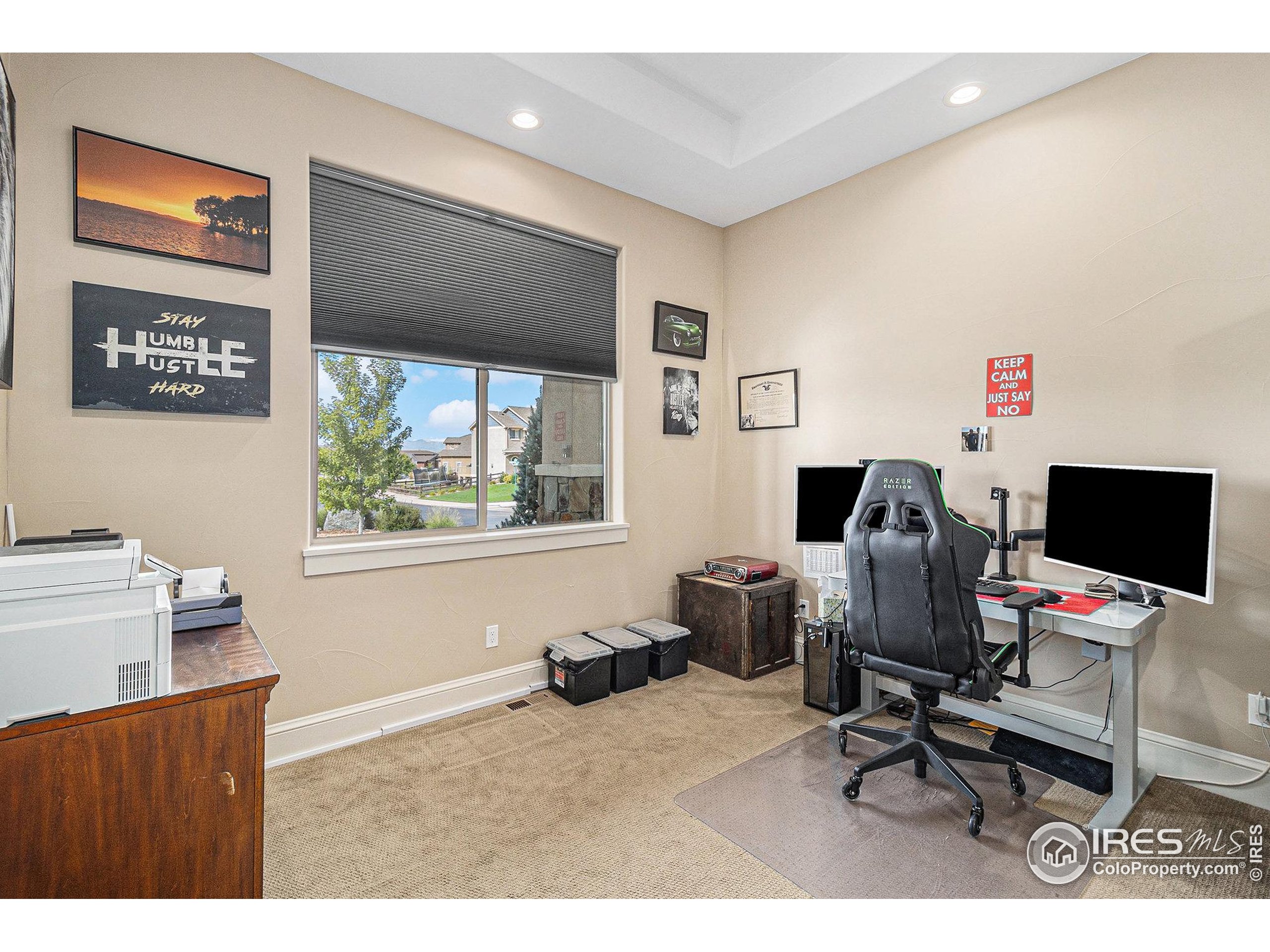 4243 Carroway Seed Ct