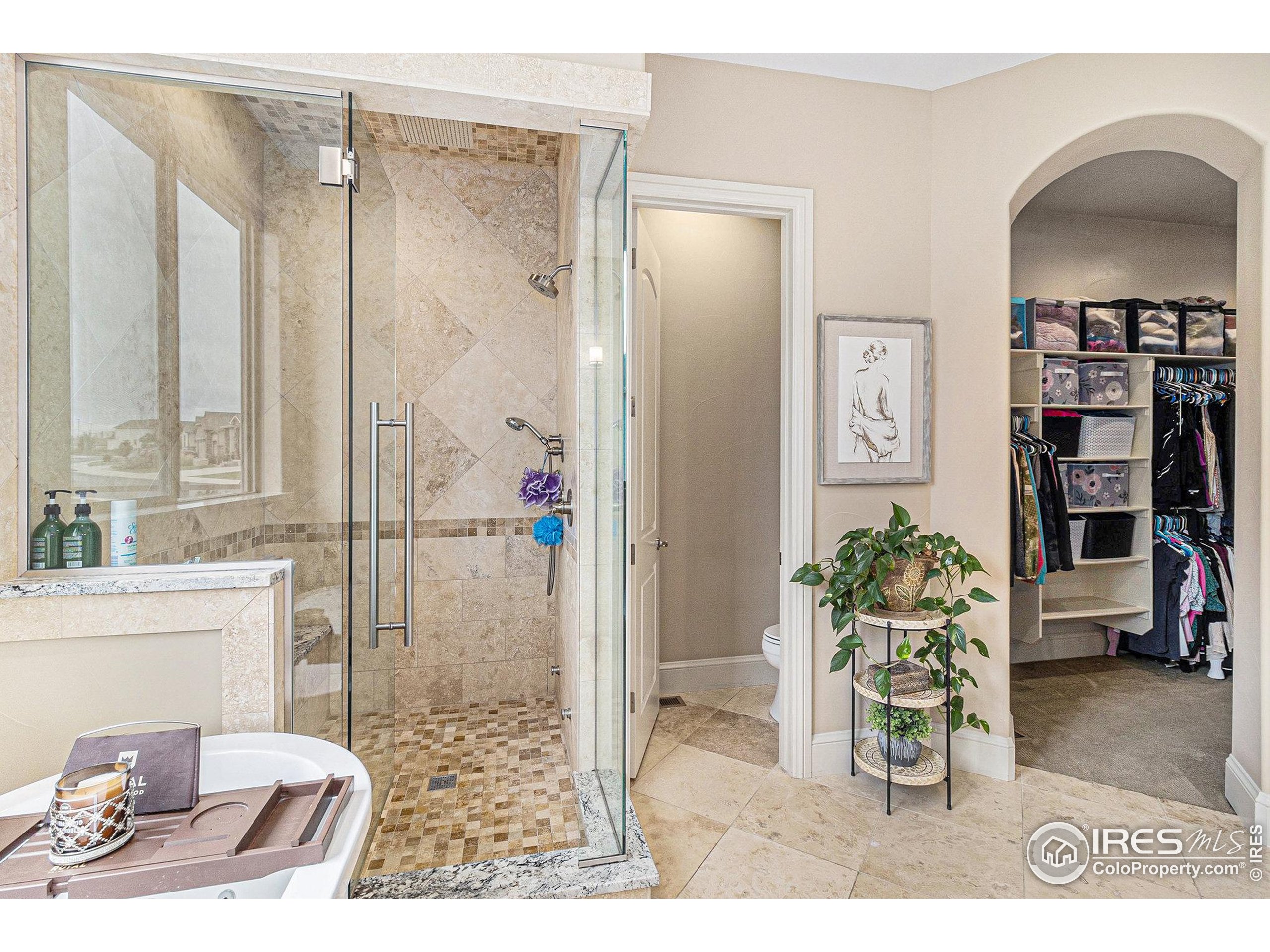 4243 Carroway Seed Ct