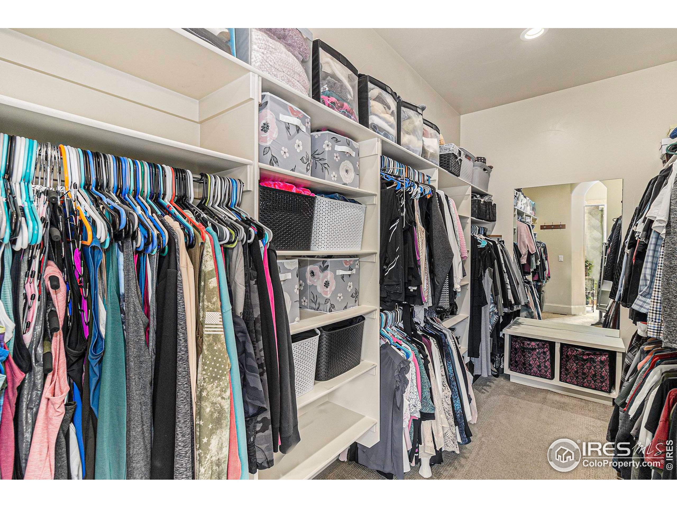 4243 Carroway Seed Ct