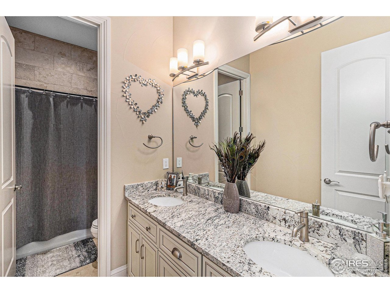 4243 Carroway Seed Ct