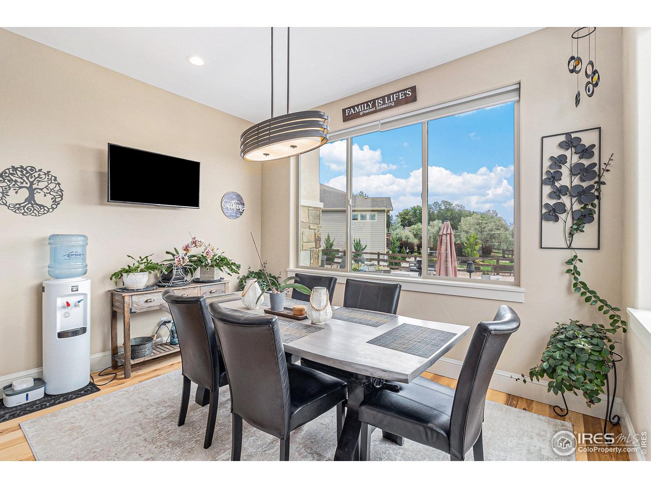 4243 Carroway Seed Ct