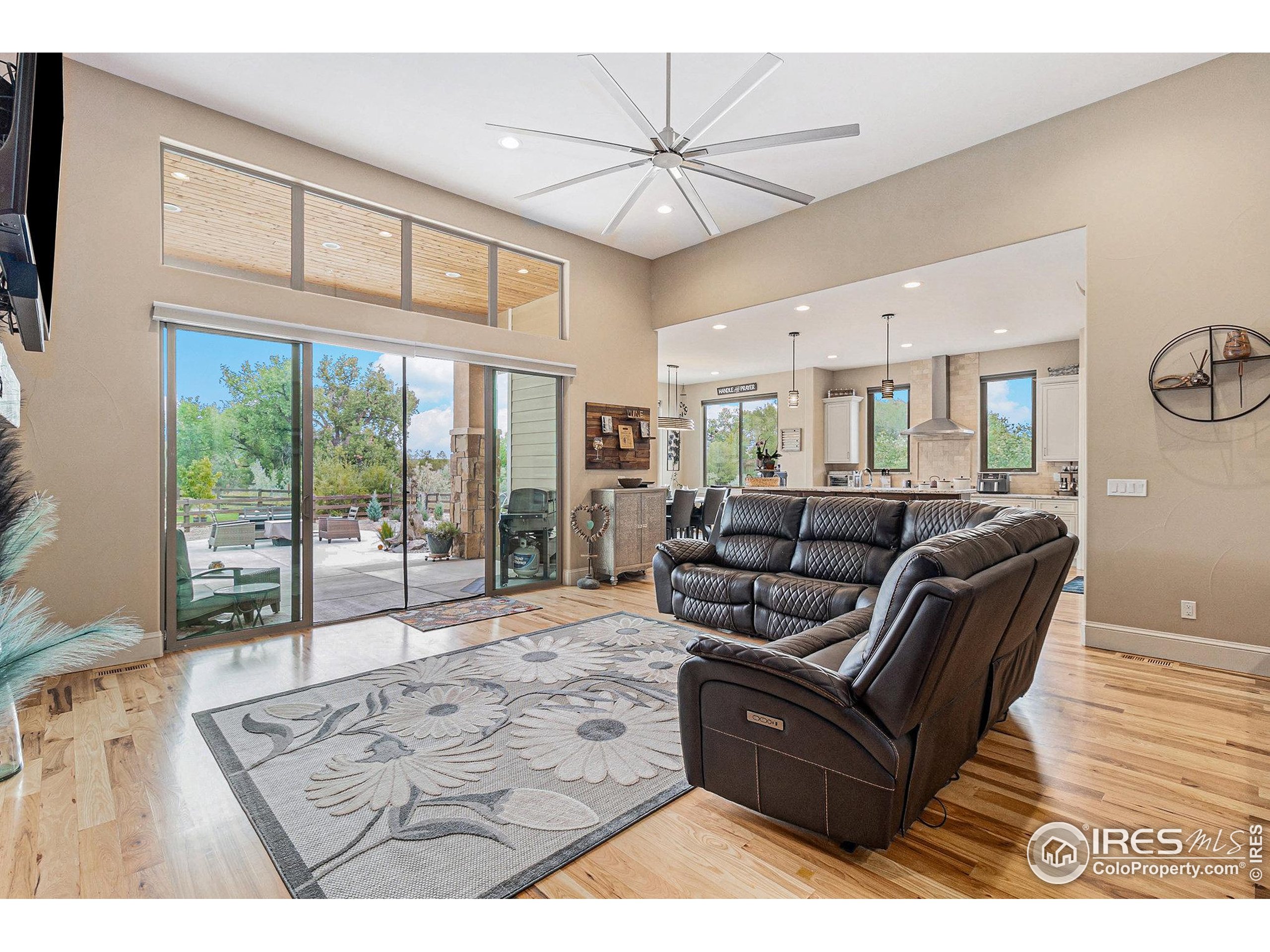 4243 Carroway Seed Ct