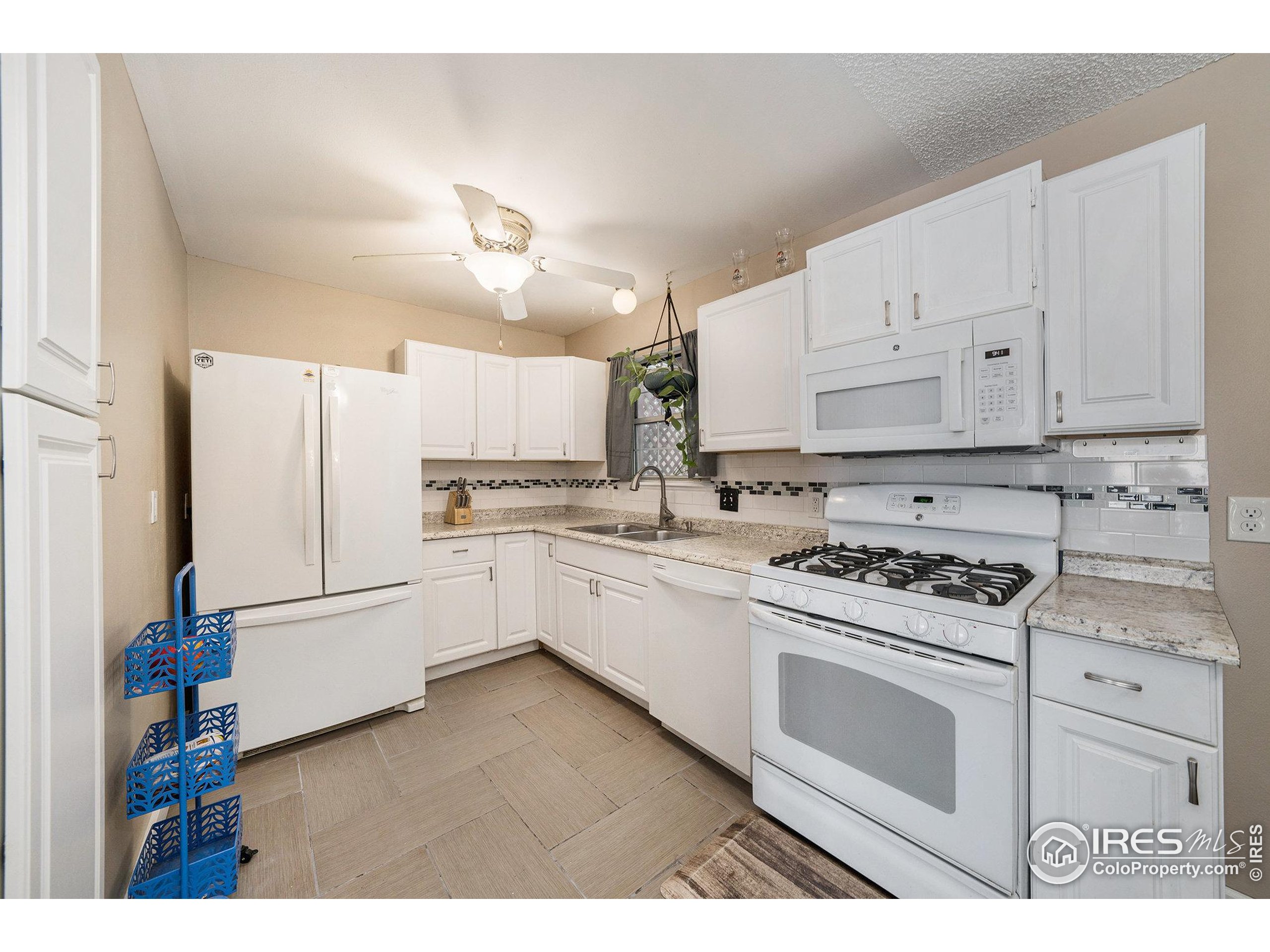 229 Blossom Dr