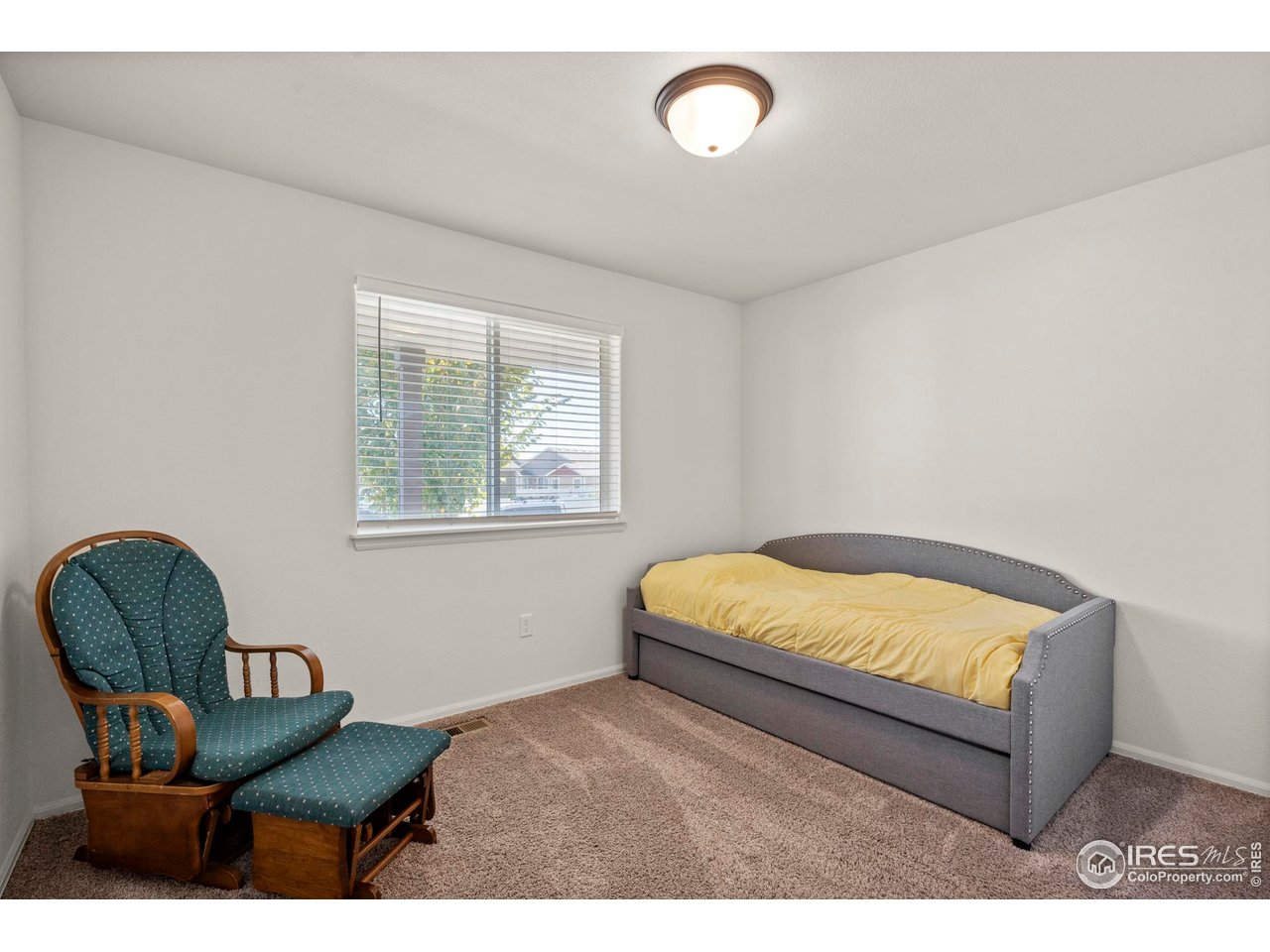 941 Barasingha St Severance