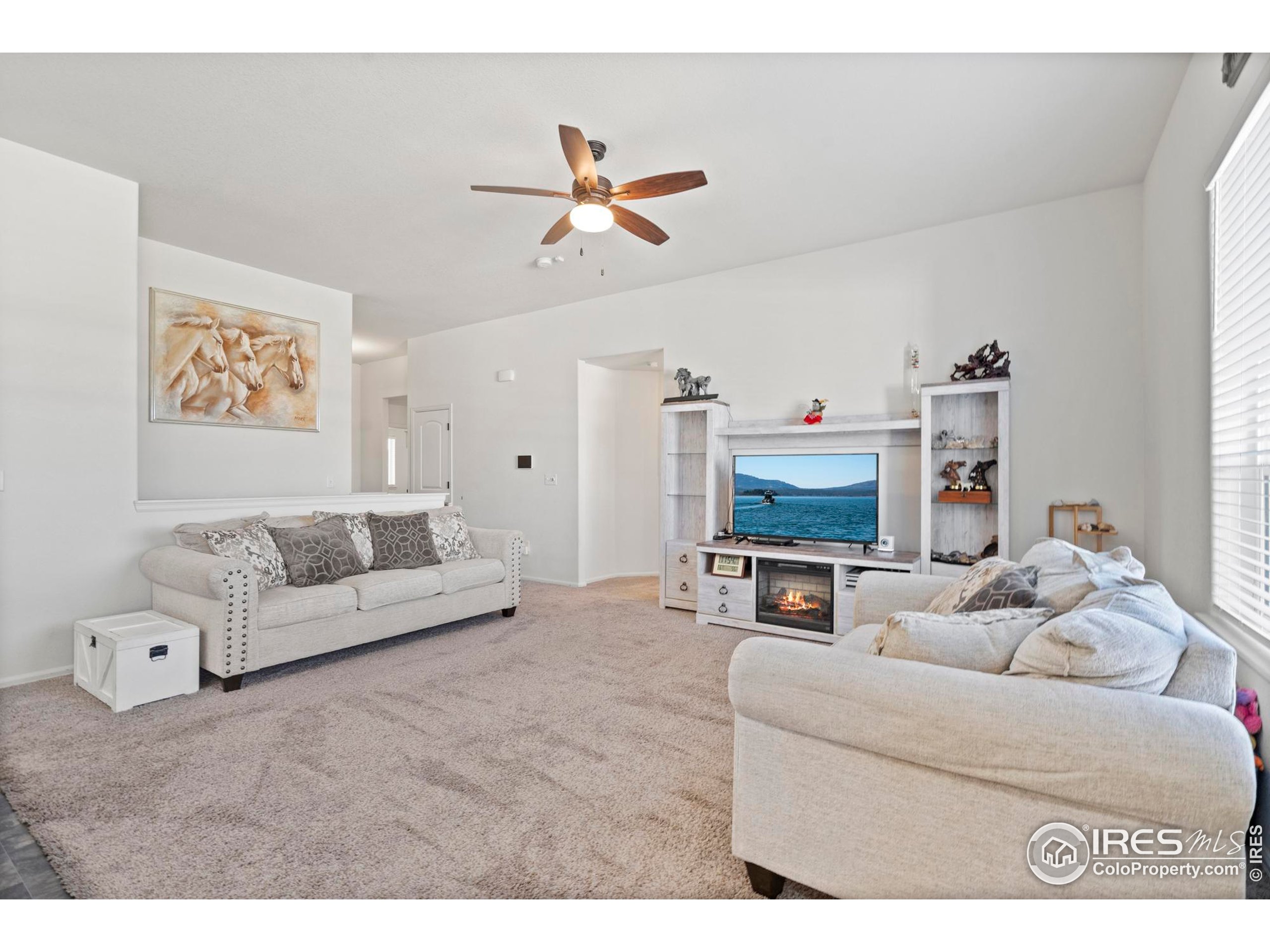 941 Barasingha St Severance