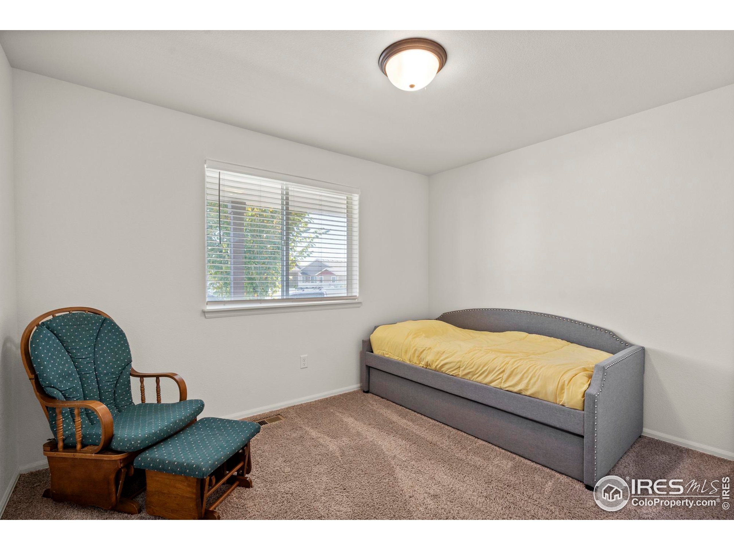 941 Barasingha St Severance