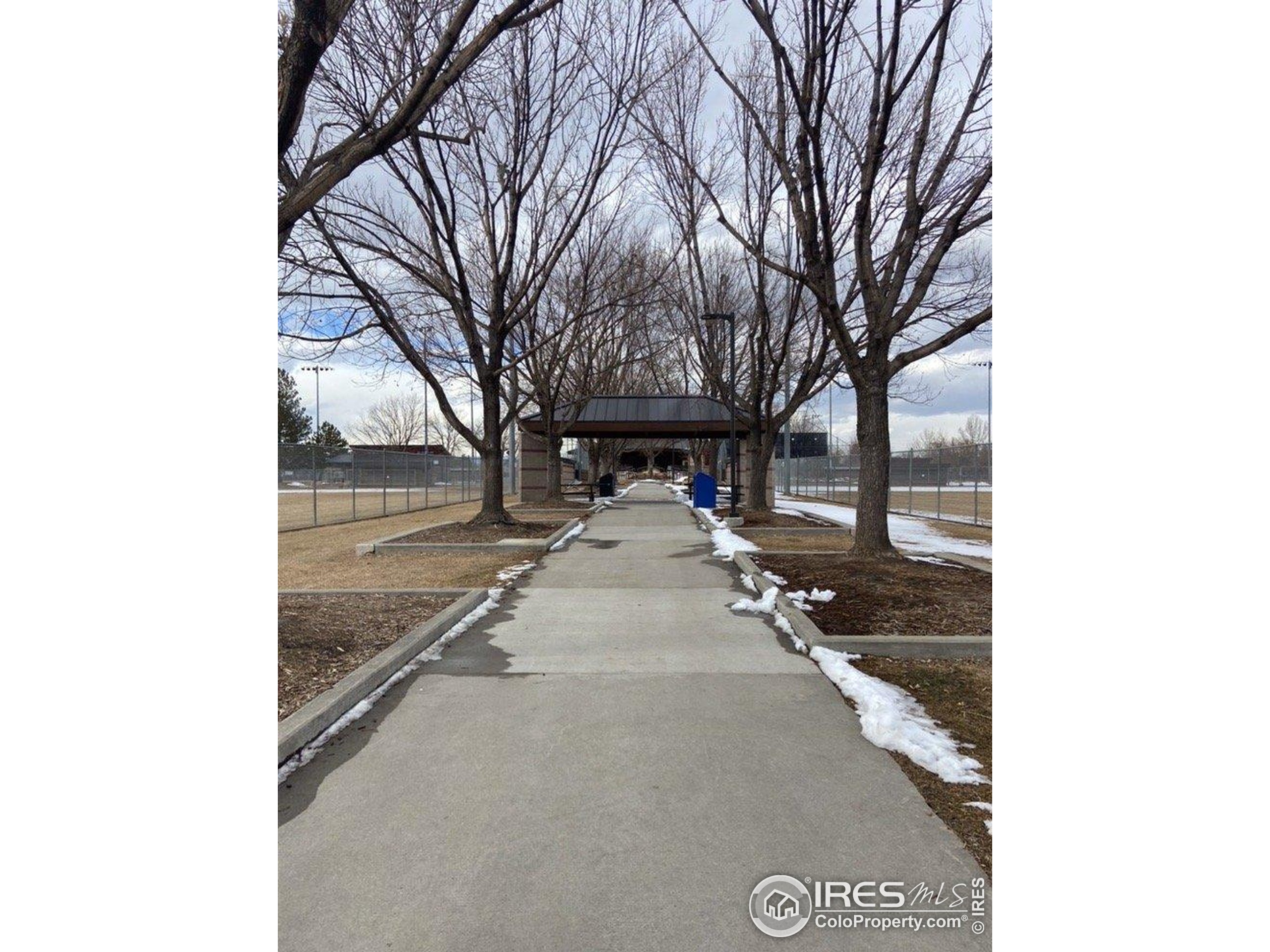 1531 Lashley St 1531, 1533 Longmont Unit: 1531, 1533