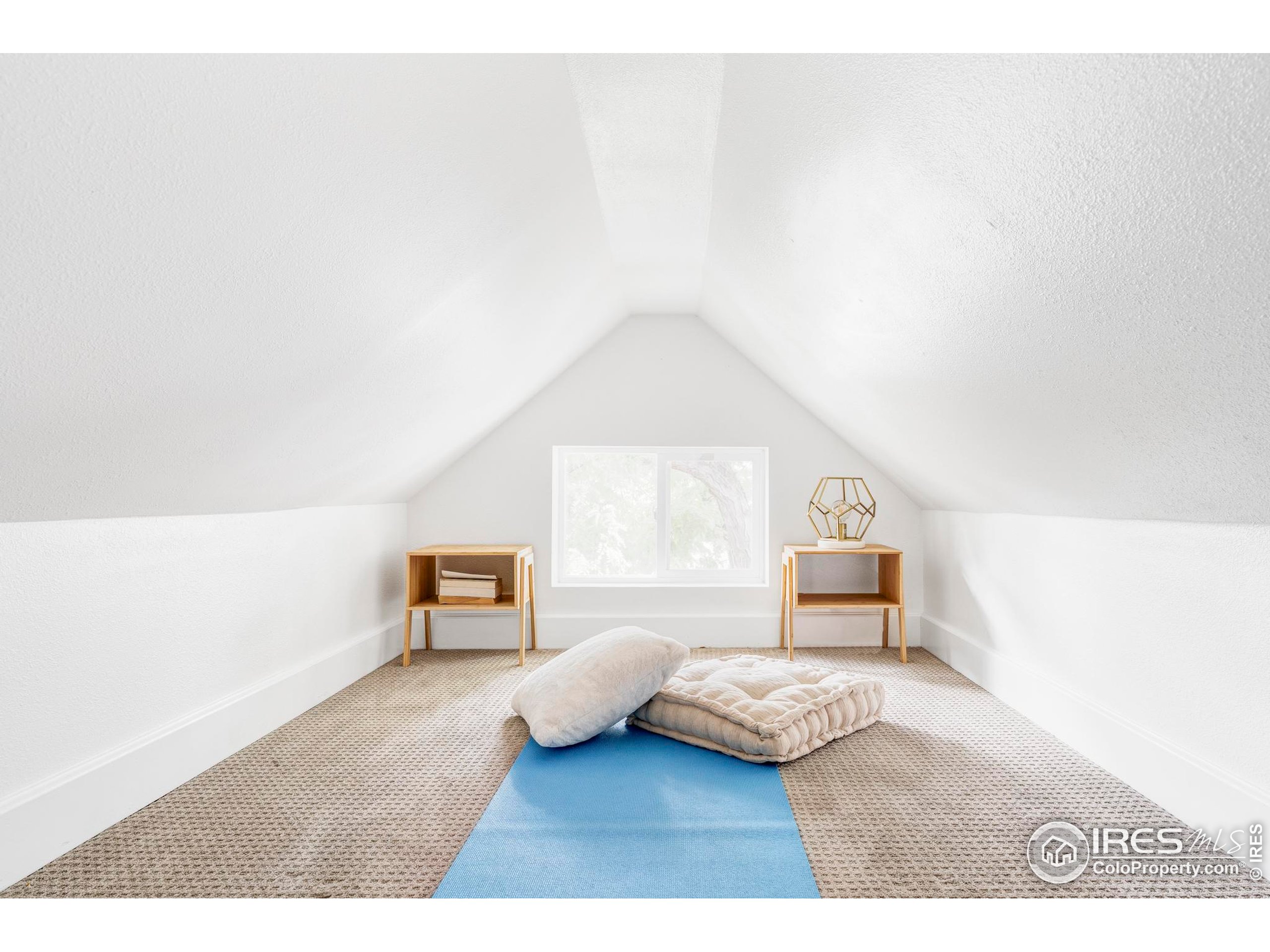 2909 Glenarm Pl Denver