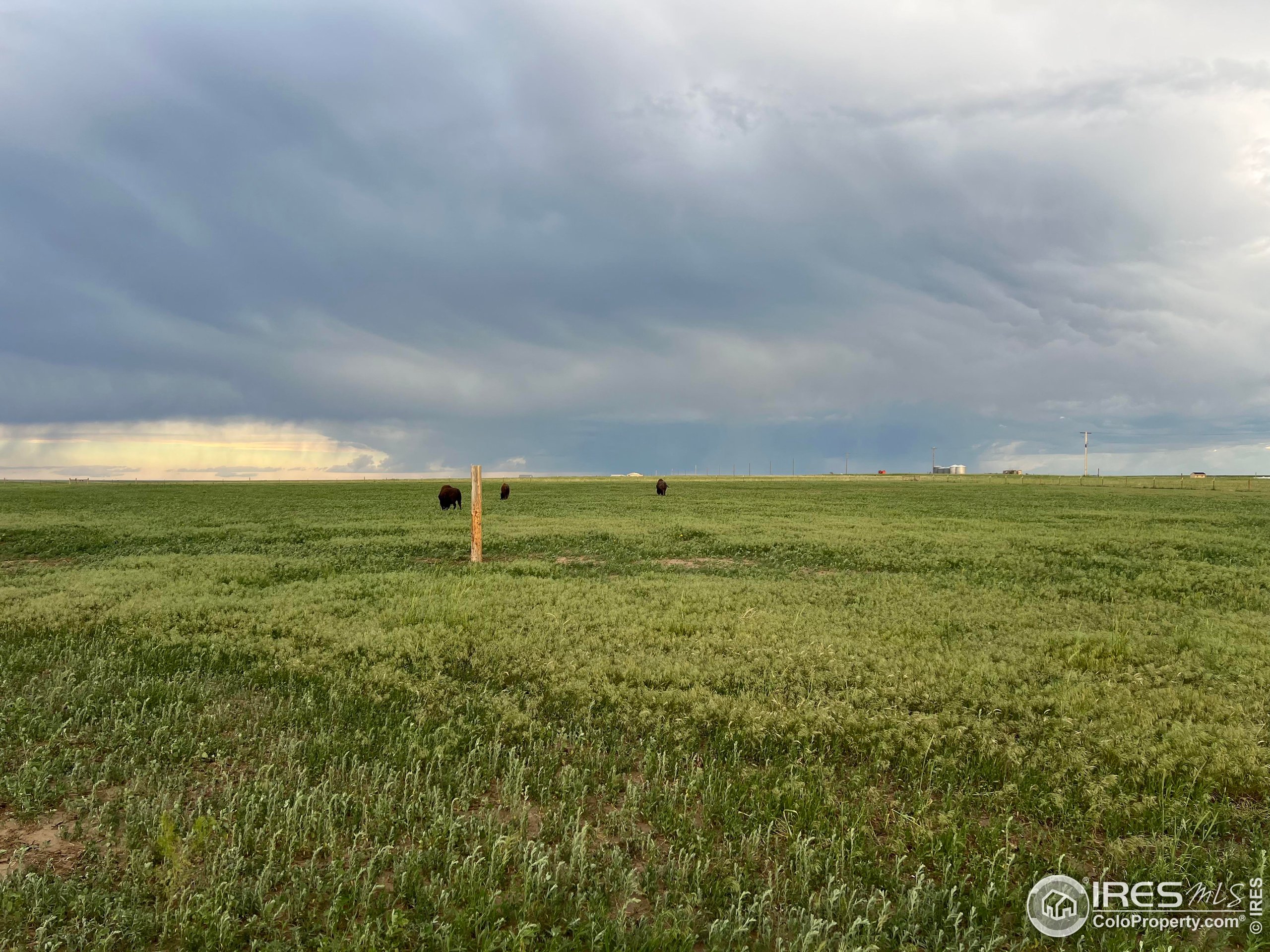 39306 County Road 79