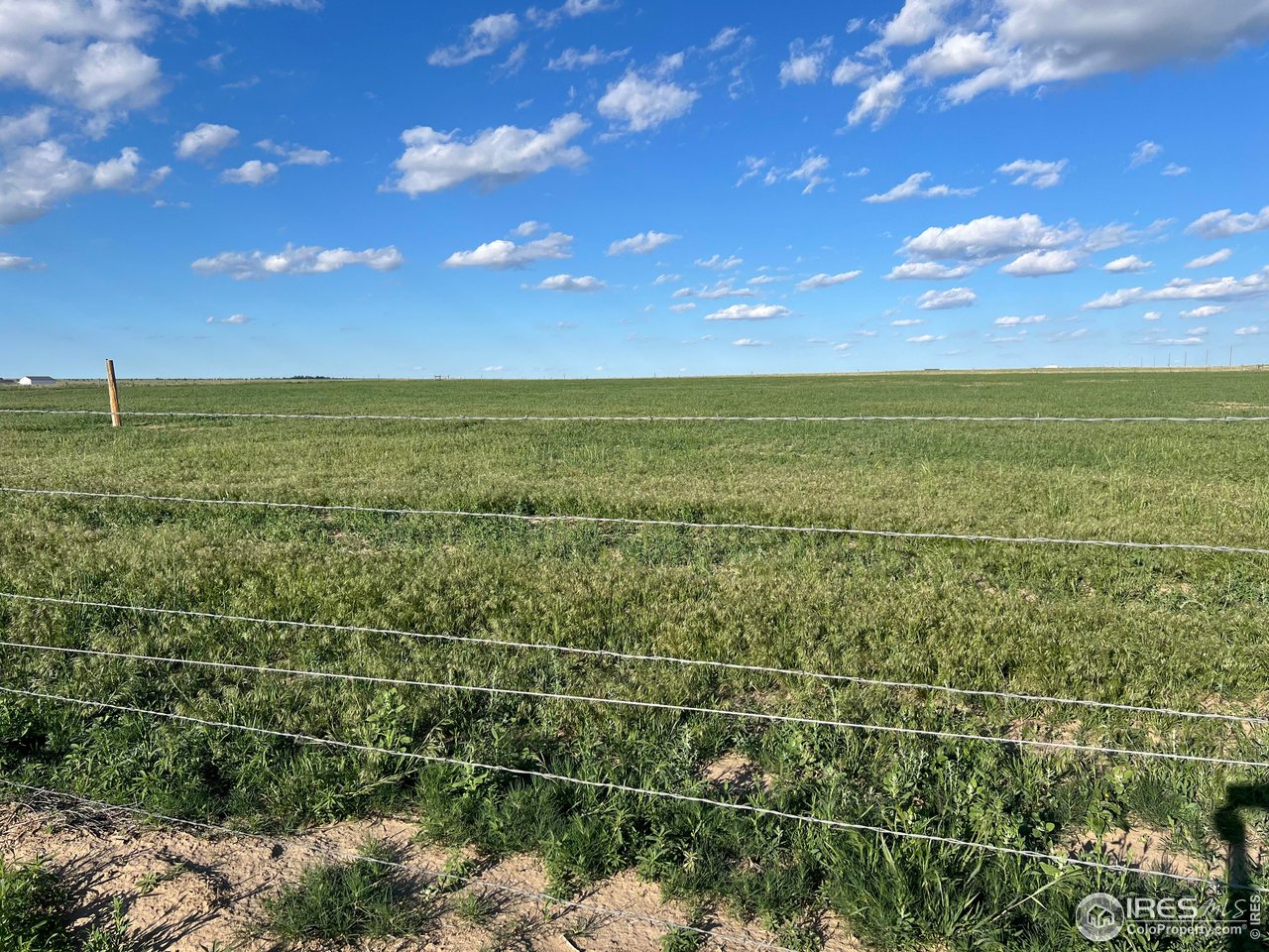 39306 County Road 79