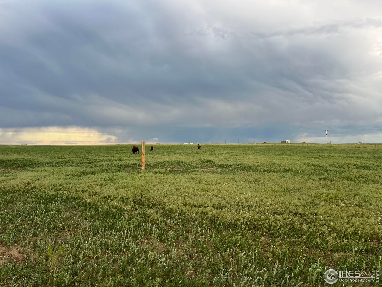 39306 County Road 79